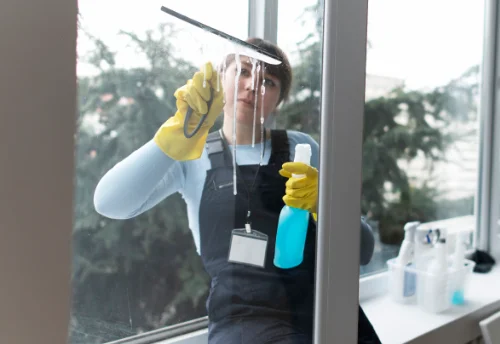 Nettoyage de vitres intérieures et extérieures à Usson-du-Poitou